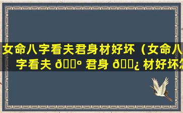 女命八字看夫君身材好坏（女命八字看夫 🐺 君身 🌿 材好坏怎么看）